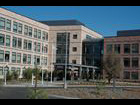 IDEC Biogen 