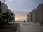 Salk Institute